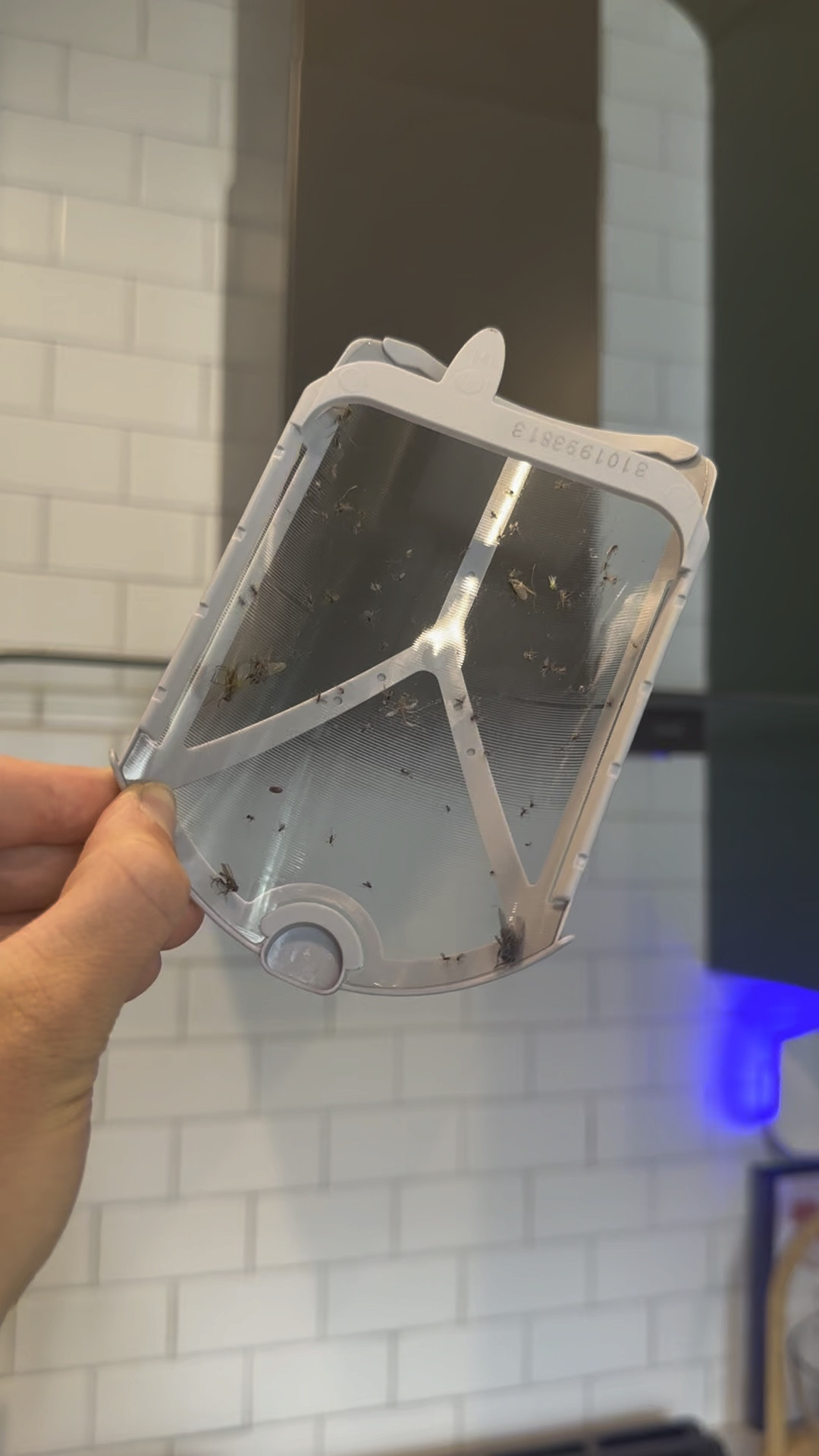 Best home purchase ever

#LTKhome