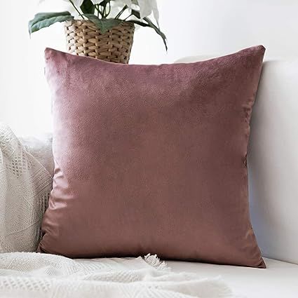 MIULEE Jam Velvet Throw Pillow Cover Soft Decorative Pillow Cover Square Cushion Case Home Decor ... | Amazon (US)