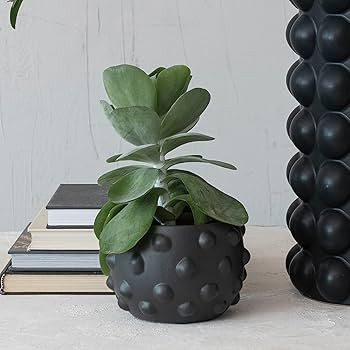 Creative Co-Op Terracotta Raised Dot Design, Black Planter | Amazon (US)