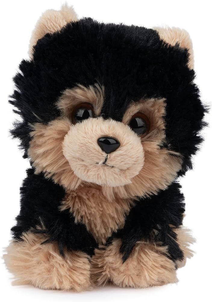 GUND Boo, The World’s Cutest Dog, Boo & Friends Collection Yorkie Puppy, Stuffed Animal for Age... | Amazon (US)