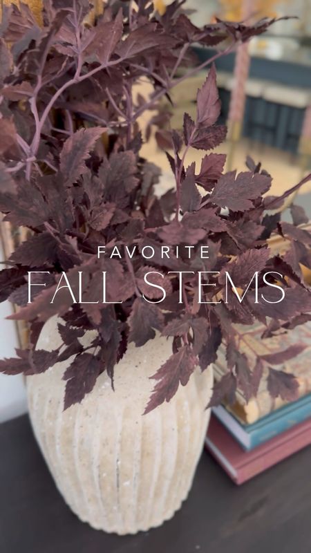 My favorite fall faux stems this year! Everything from under $10 and up! I have at mostly 3 stems in all my arrangements, with one bunch of the Amazon eucalyptus and 2 bunches of the Target rice flower 😊

fall decor, budget friendly, under $10, Hearth & Hand, Afloral, Pottery Barn

#LTKhome #LTKunder50 #LTKSeasonal