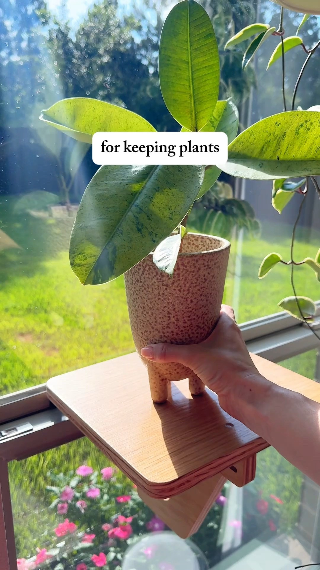 One of my favorite little plant finds lately. 🌿

I love that this shelf can sit right in the middle of the window instead of only at the bottom. It’s been a great spot for a few plants that need bright light, and it keeps them away from curious pets and little hands.

window shelf | plant shelf | indoor plants | houseplants | plant lover | plant parent | indoor gardening | plant decor

#Houseplants #IndoorPlants #PlantShelf #PlantParent #PlantLover #PlantCare #IndoorGarden #PlantDecor

#LTKBeauty #LTKOver40 #LTKHome