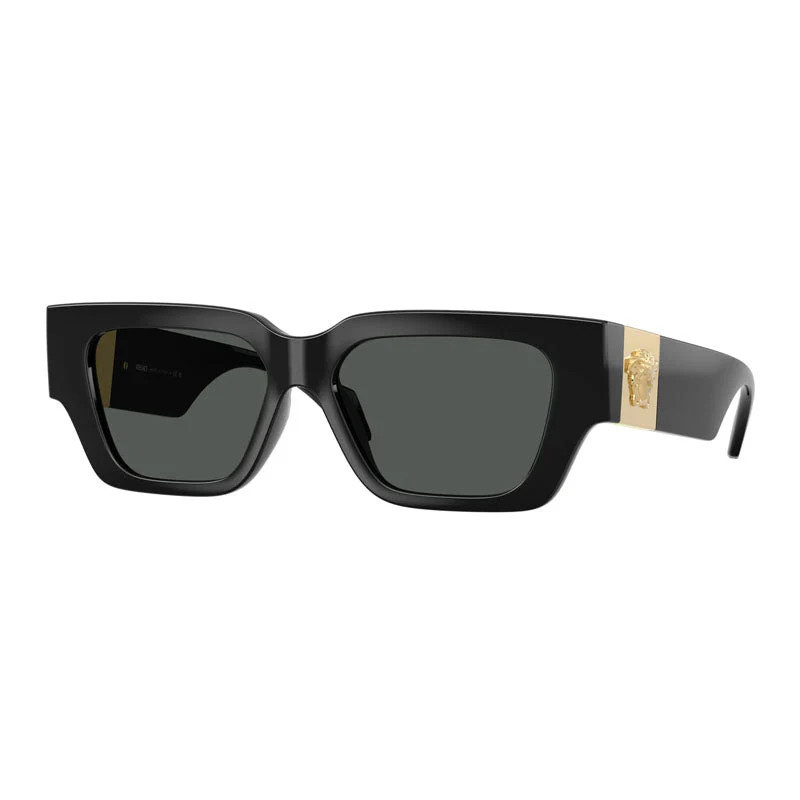 Versace Black Acetate Sunglasses — Black | Italist Inc.