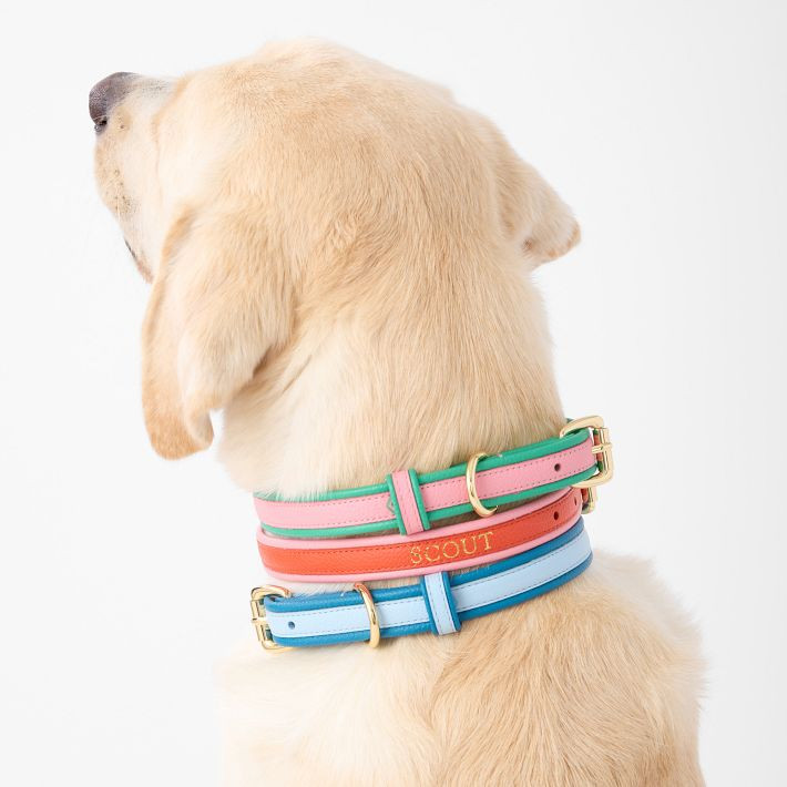 Two-Color Leather Dog Collar | Mark and Graham