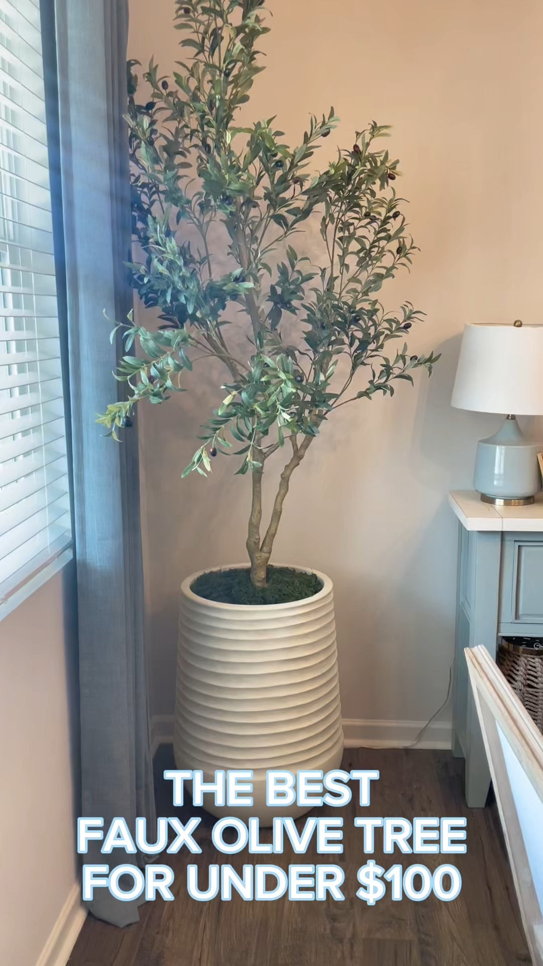 I found the perfect Faux Olive Tree for less than $100!  It has great height, size, and coloring, and I knew after all of my searching that this was the one. We have 9 ft ceilings and opted for the 7 ft tall tree.  

I placed the base of the tree on a 1 ft tall box in the planter to get more height, and then covered it with tissue and foam before topping with moss.  

Foam, moss, and LARGE planter are all from hobby lobby! The planter was on the 50% off sale this week, and I snagged it for $65! For a 28 inch tall planter, that was a steal. 

With prime day coming, the price of this tree will likely go down! I was able to snag it for $84 last week! 



#LTKStyleTip #LTKHome #LTKFindsUnder100