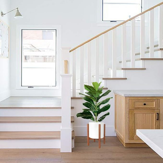 Visit the BESAMENATURE Store | Amazon (US)