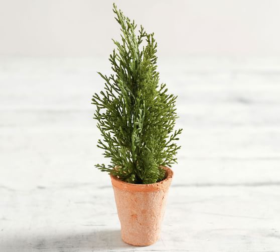 Potted Mini Faux Pine Tree | Pottery Barn (US)