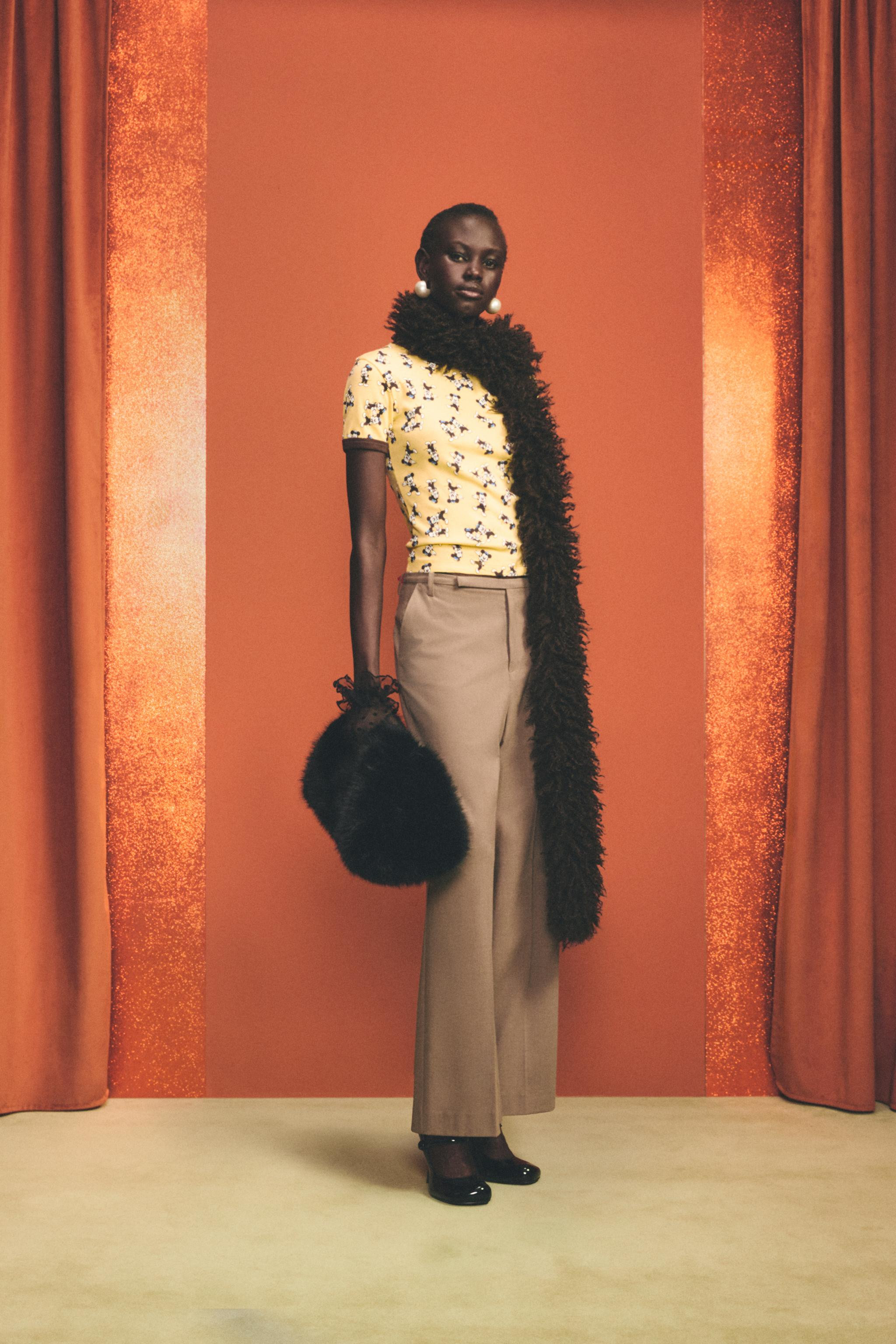 MORTY + FERDY T-SHIRT HARRY LAMBERT FOR ZARA X DISNEY | Zara US