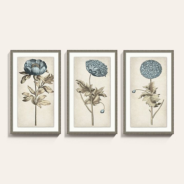 Scents of Blue Botanical Framed Art Print Series | Ballard Designs, Inc.