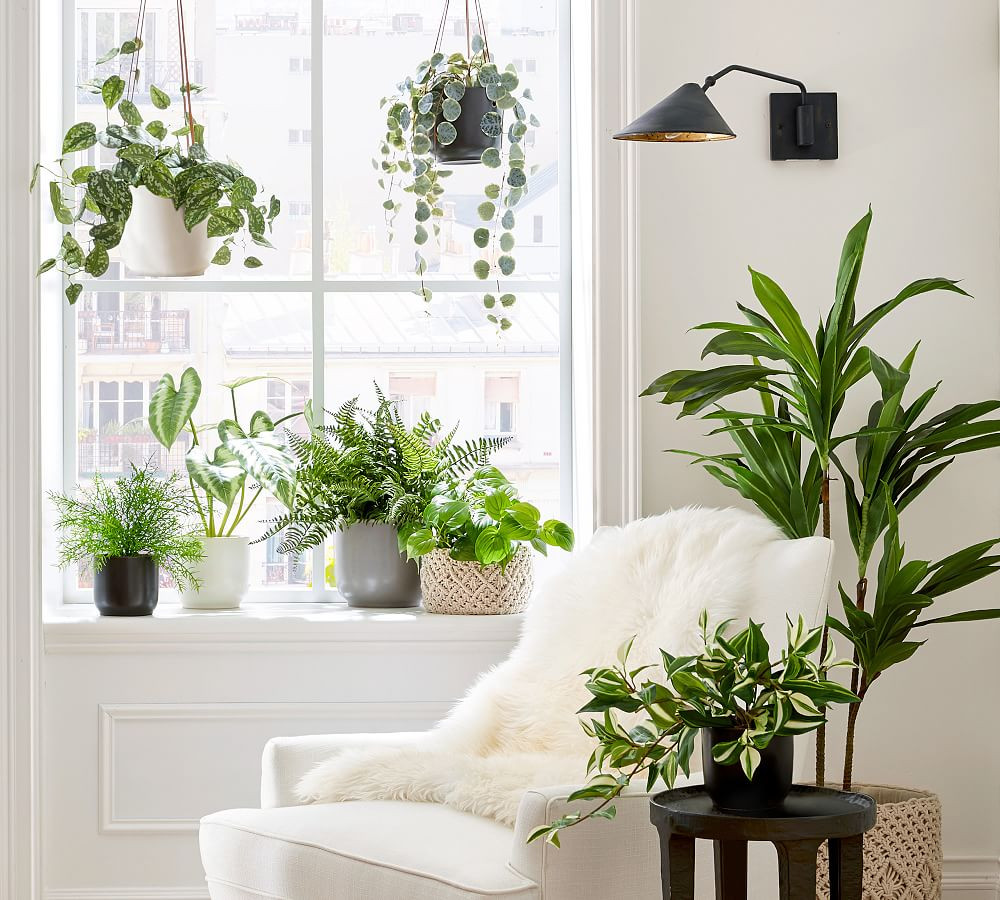 Faux Boston Fern Houseplant | Pottery Barn (US)