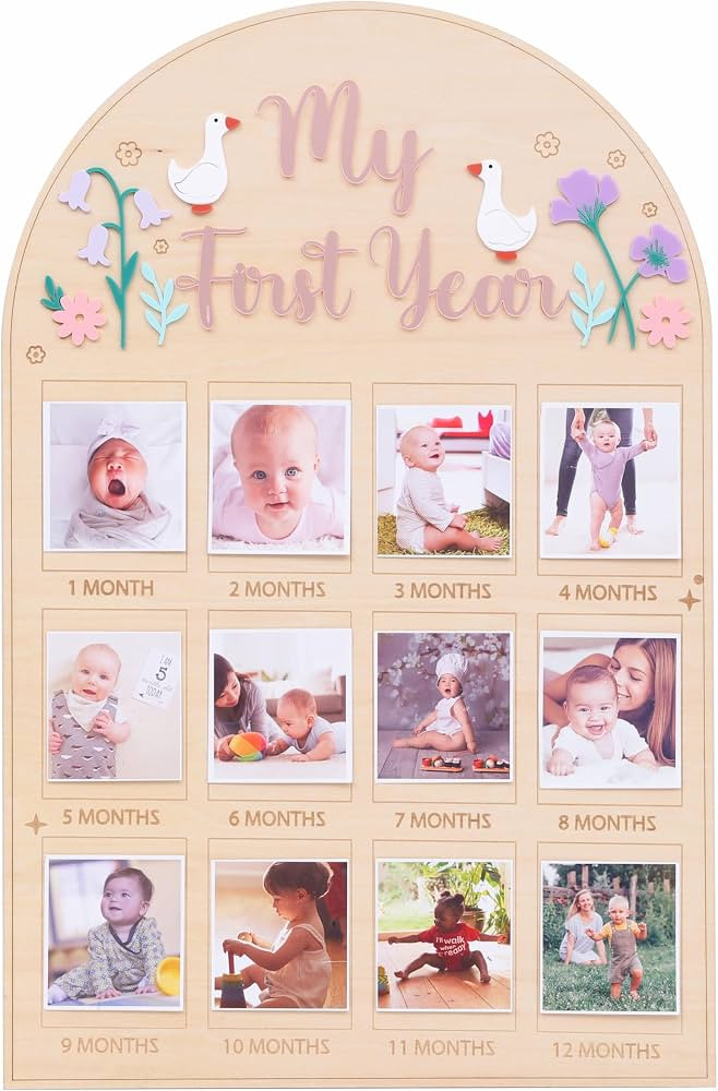 Goose First Year Photo Board - Newborn 1 to 12 Months Photo Display,Goose 1st Birthday Photo Wood... | Amazon (US)