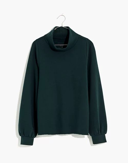 MWL Betterterry Relaxed Turtleneck Sweatshirt | Madewell