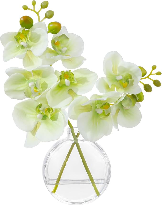 ucky Artificial Green Orchid in Glass Vase with Faux Water, 11" Small Silk Phalaenopsis Arrangeme... | Amazon (US)