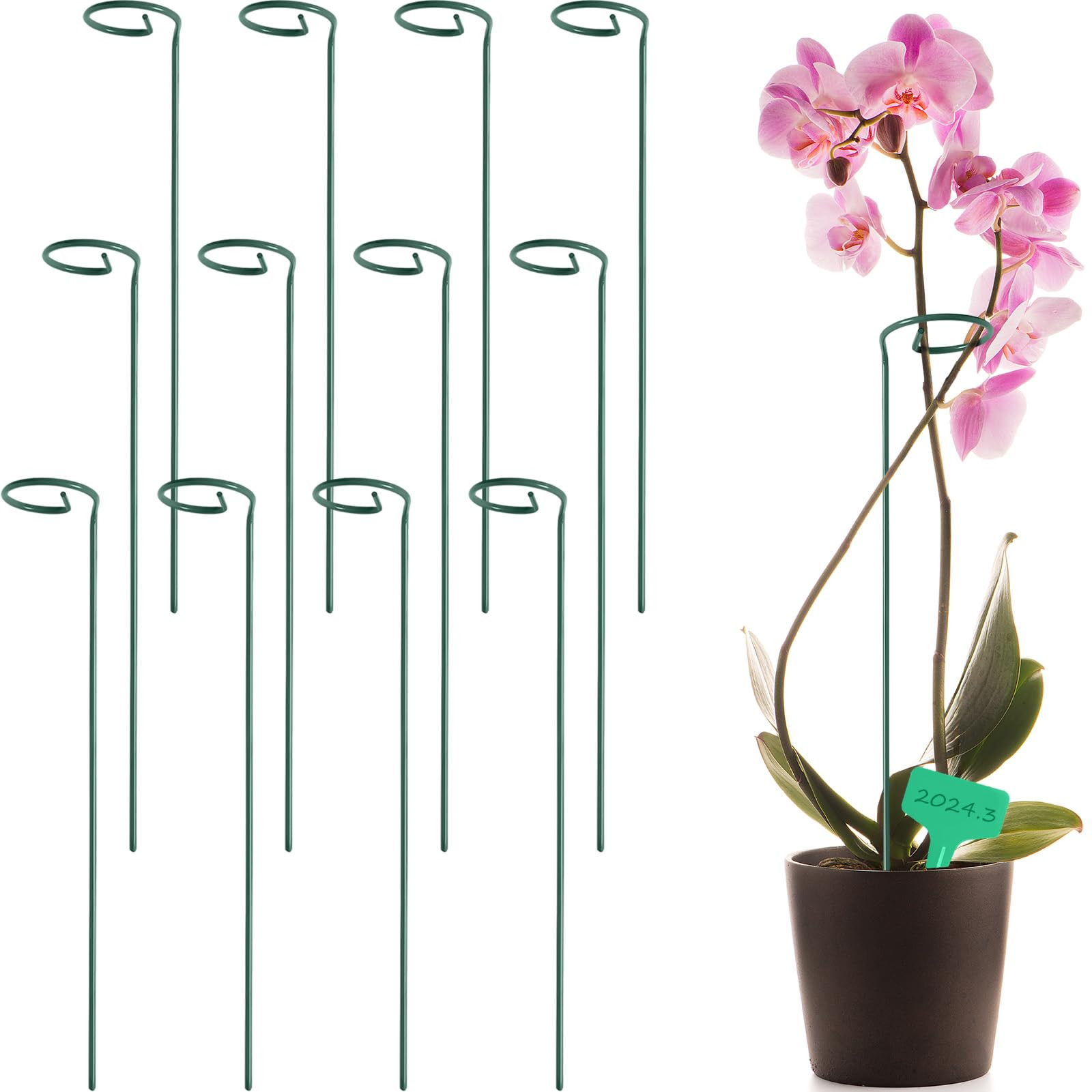 GROWNEER 12 Packs 16 Inches Plant Support Stakes, with 15 Pcs Plant Labels, Garden Single Stem Flower Support Stake, Plant Cage Support Rings for Flowers Amaryllis Orchid Peony Lily Rose | Amazon (US)