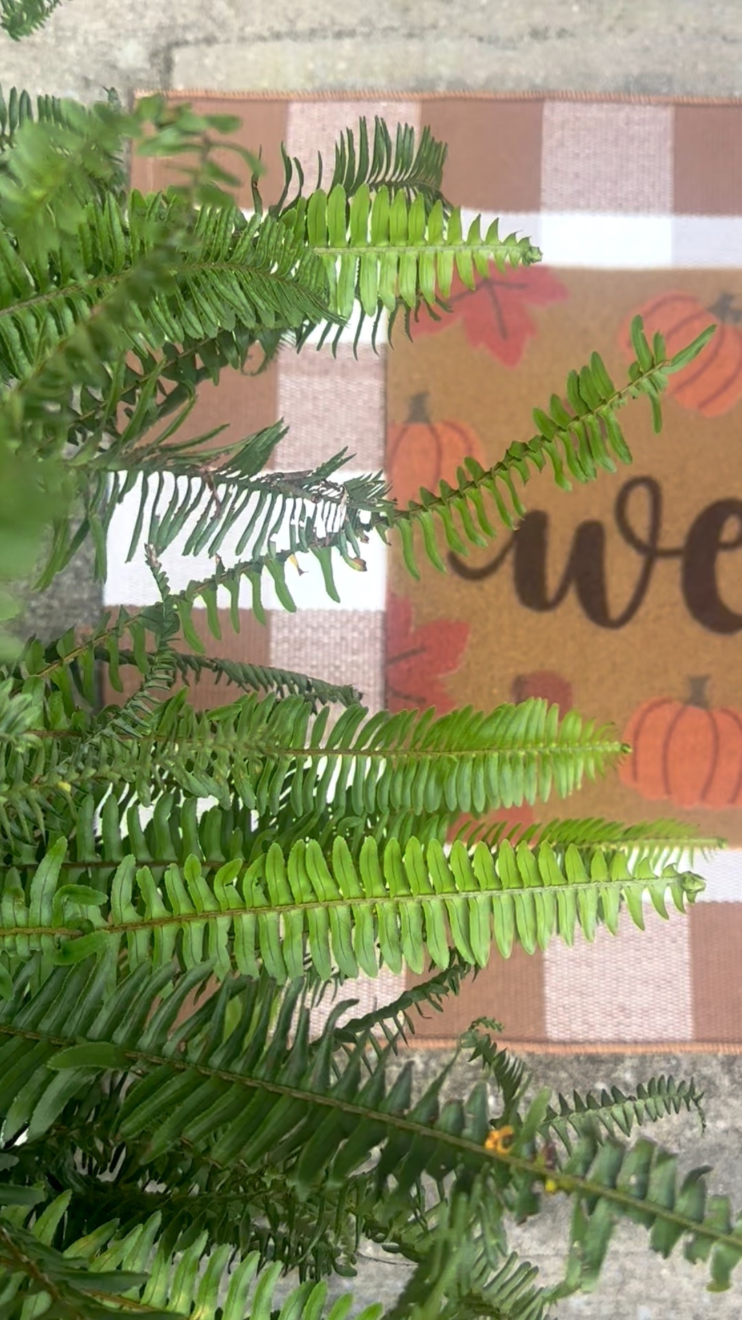 Amazon // Amazon home // fall // decor // front porch // door mat // welcome // door mat set 

#LTKSeasonal #LTKHome #LTKFindsUnder50