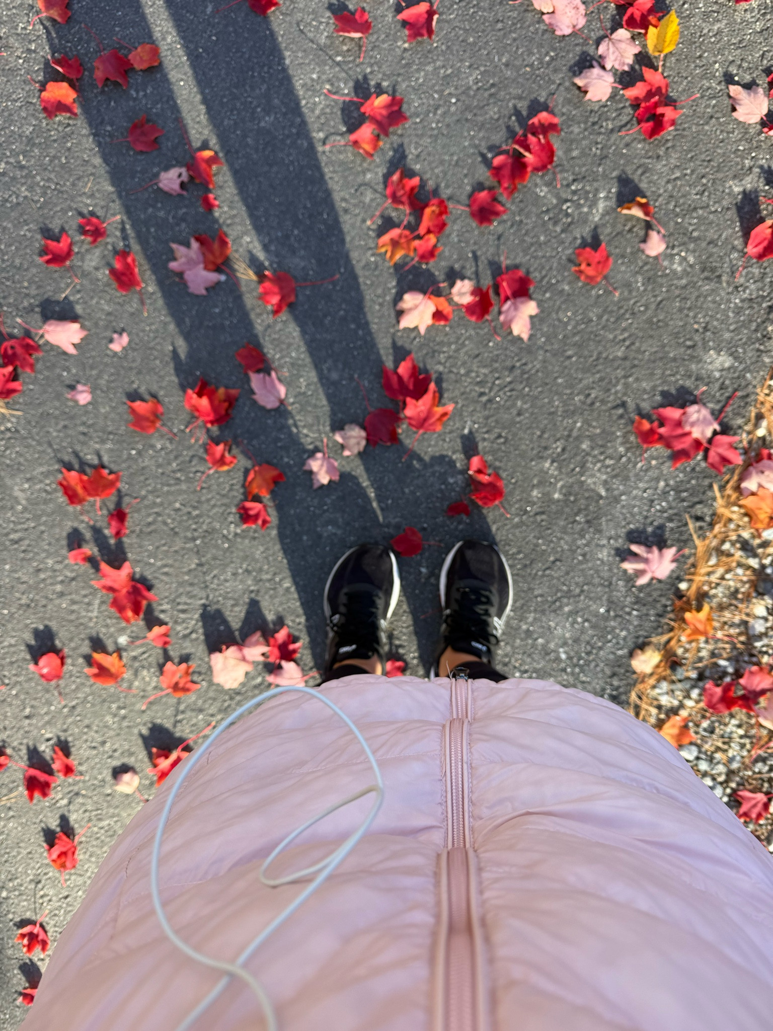 Asic has my favorite running shoes. They are so comfy and stylish. Fit is true to size.

#LTKActive #LTKPetite #LTKfitnessgoals