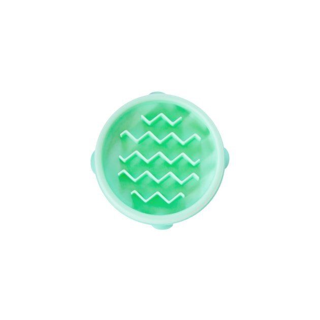 Outward Hound Non-Skid Plastic Slow Feeder Dog Bowl, Mint, 0.75-cup | Chewy.com