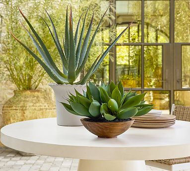Faux Composed Spike Aloe Plant In Wooden Pot | Pottery Barn (US)
