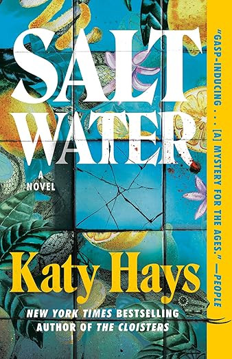 Saltwater: A Novel      Paperback – April 28, 2026 | Amazon (US)