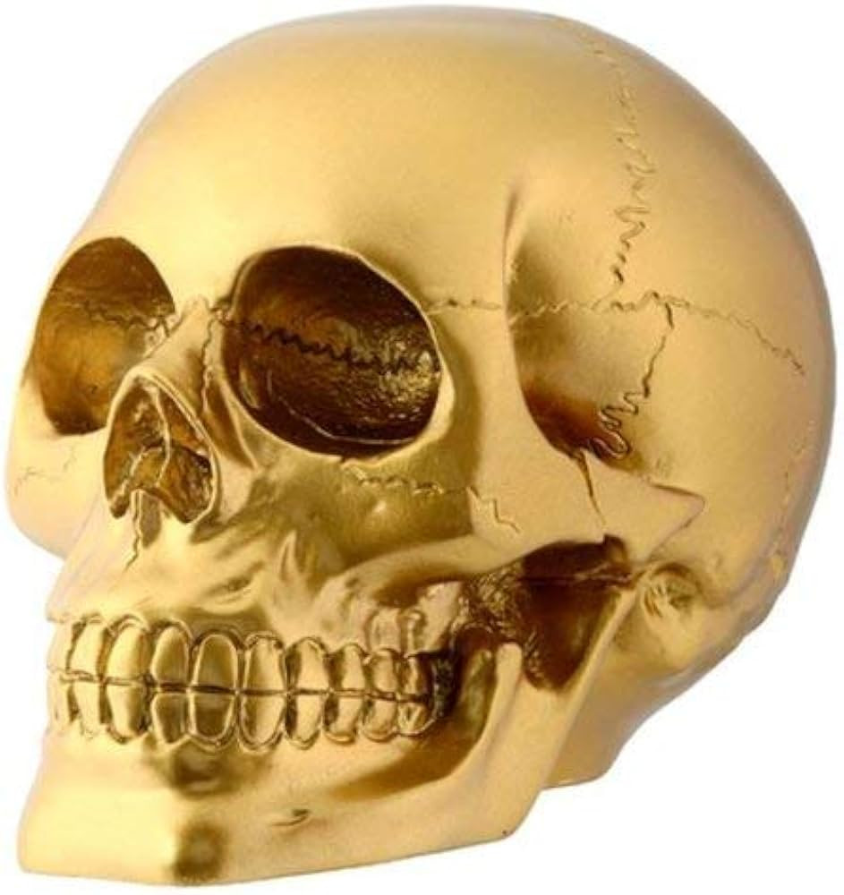 Amazon.com: Gold Skull Head Collectible Skeleton Decoration Figurine : Home & Kitchen | Amazon (US)
