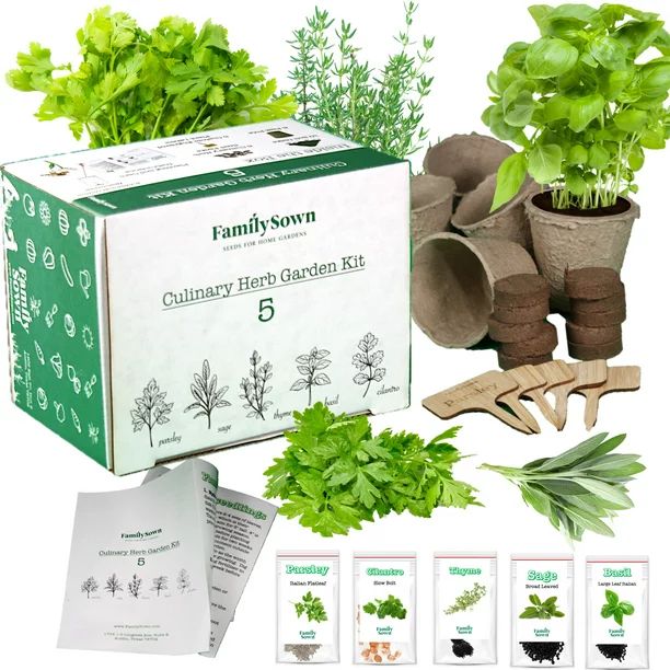 Indoor Herb Garden Growing Kit by Family Sown - This Starter Kit Includes Pots, Soil Disks, and E... | Walmart (US)