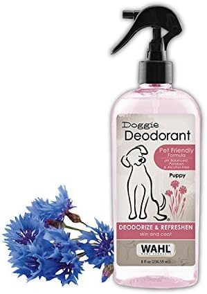Wahl Cornflower Aloe Pet Deodorant for All Dogs & Cats – Clean Fresh Smell Refreshes & Deodoriz... | Amazon (US)