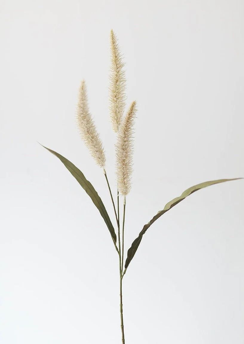 Fake Foxtail Fall Grass in Beige - 36" | Afloral (US)