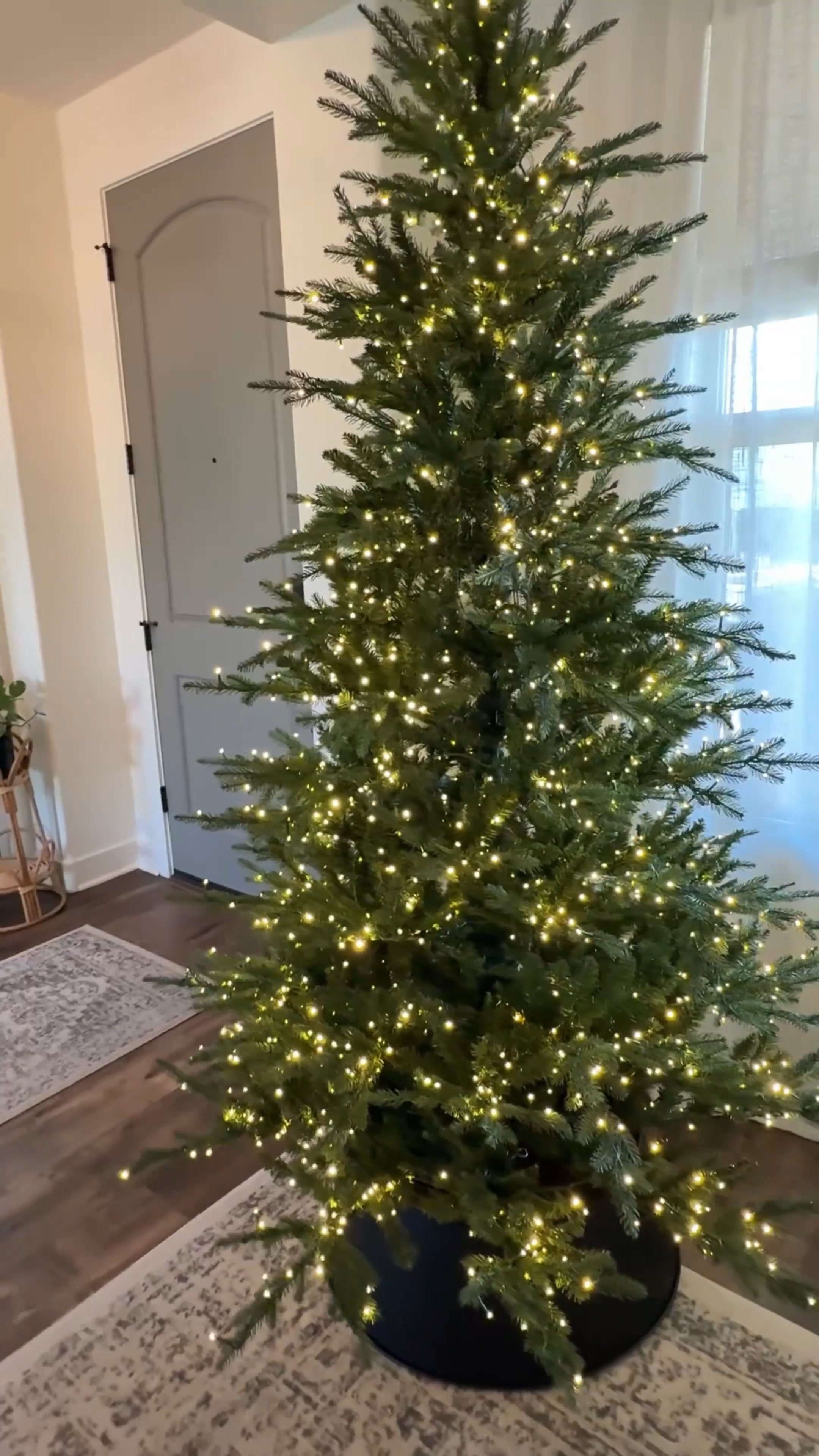 Twinkle Pre-lit Balsam Fir Christmas Tree 🎄 
This is such a beautiful tree so many lighting options and very realistic!! 

#LTKHoliday #LTKSeasonal #LTKHome
