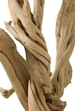 Sandblasted Ghostwood Branch 12in (California Driftwood), 2 Unit - Walmart.com | Walmart (US)