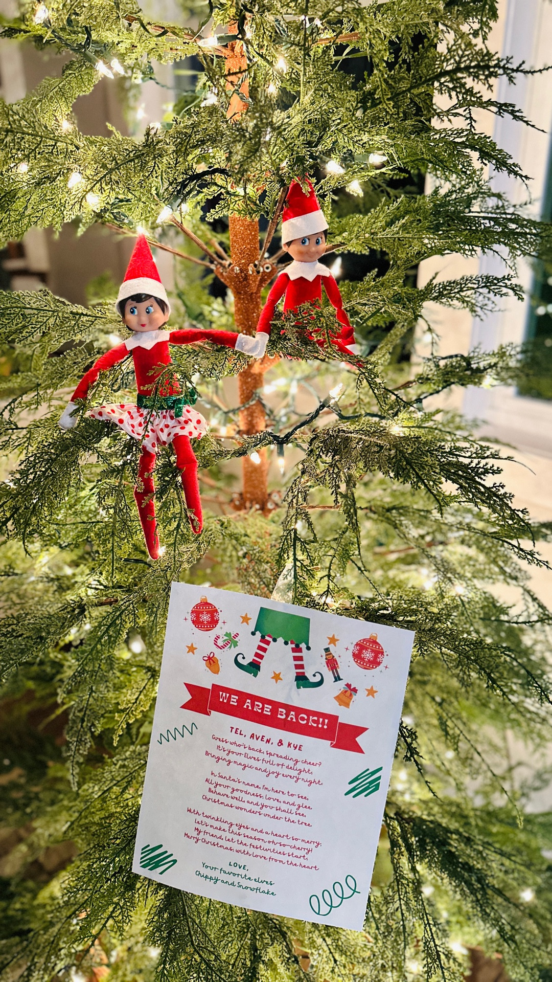 Elf on the Shelf - We’re Back! 

#christmas #elfontheshelfideas #familyfun 

#LTKKids #LTKHoliday #LTKmomlife