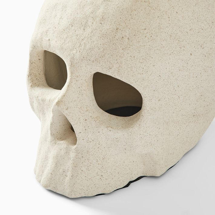 Shape Studies Ceramic Skulls | West Elm (US)