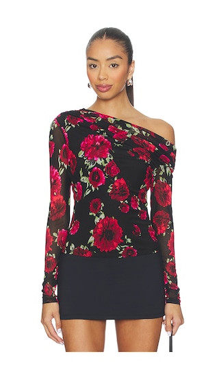Barry Long Sleeve Top in Painted Roses | Revolve Clothing (Global)