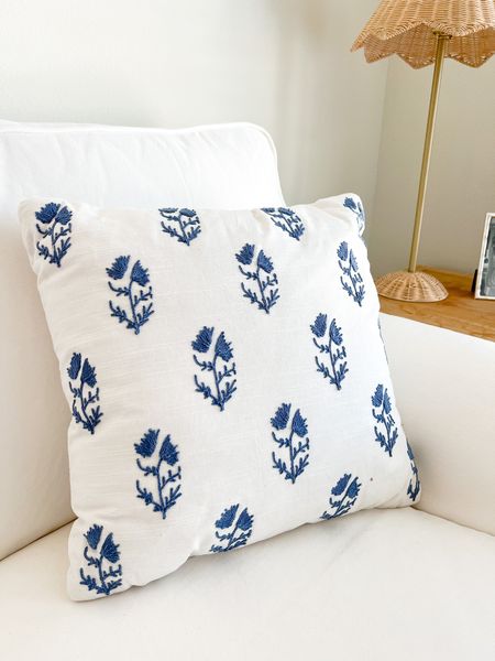 Blue & white throw pillow for $20! Looks very similar to Serena & Lily

#LTKunder50 #LTKFind #LTKhome