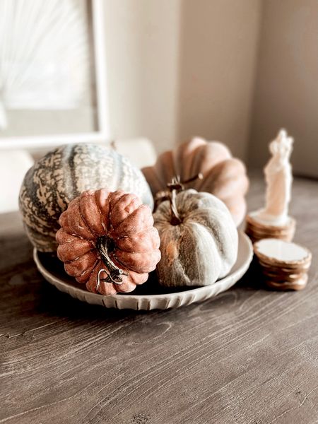 Fall Dining Table Centerpieces.  Faux Assorted Gourds & Pumpkins. Autumn Decor Ideas    

#LTKfindsunder50 #LTKSeasonal #LTKhome