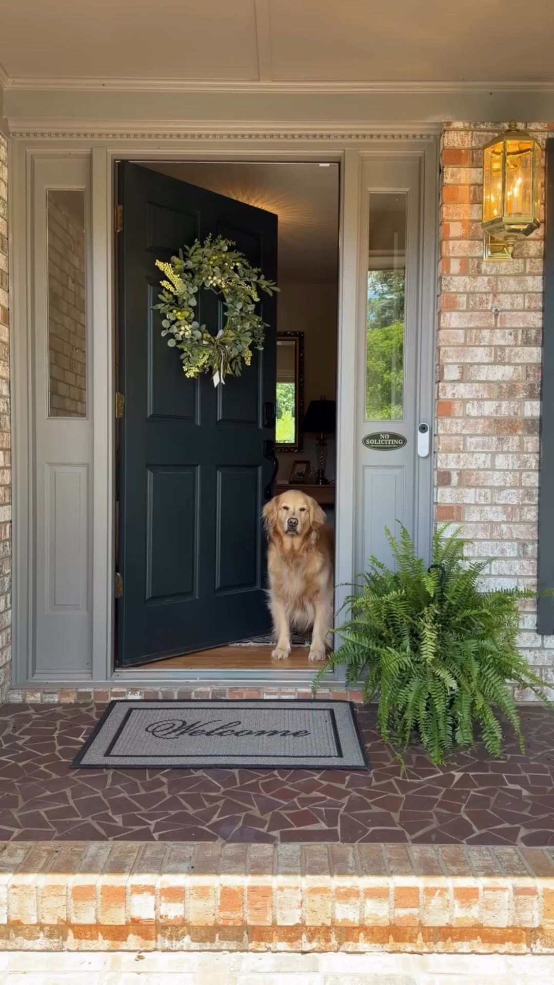 I can hardly believe it…. 
Years of dreaming, months of planning, weeks of searching and long days to bring my vision of @thepolocottage to life.  This equestrian inspired luxury retreat in the heart of Aiken, South Carolina is ready and available for bookings!

It has been a labor of love and one of the projects I am most proud of. We will be sharing plenty more before and after renovation reveals as we continue to add more amenities and updates to the property to bring this vacation rental to the next level.
Follow along @thepolocottage!
ThePoloCottage.com 🐎

#Aiken #AikenSC #ThePoloCottage #aikenrentalhomes #aikenrentals