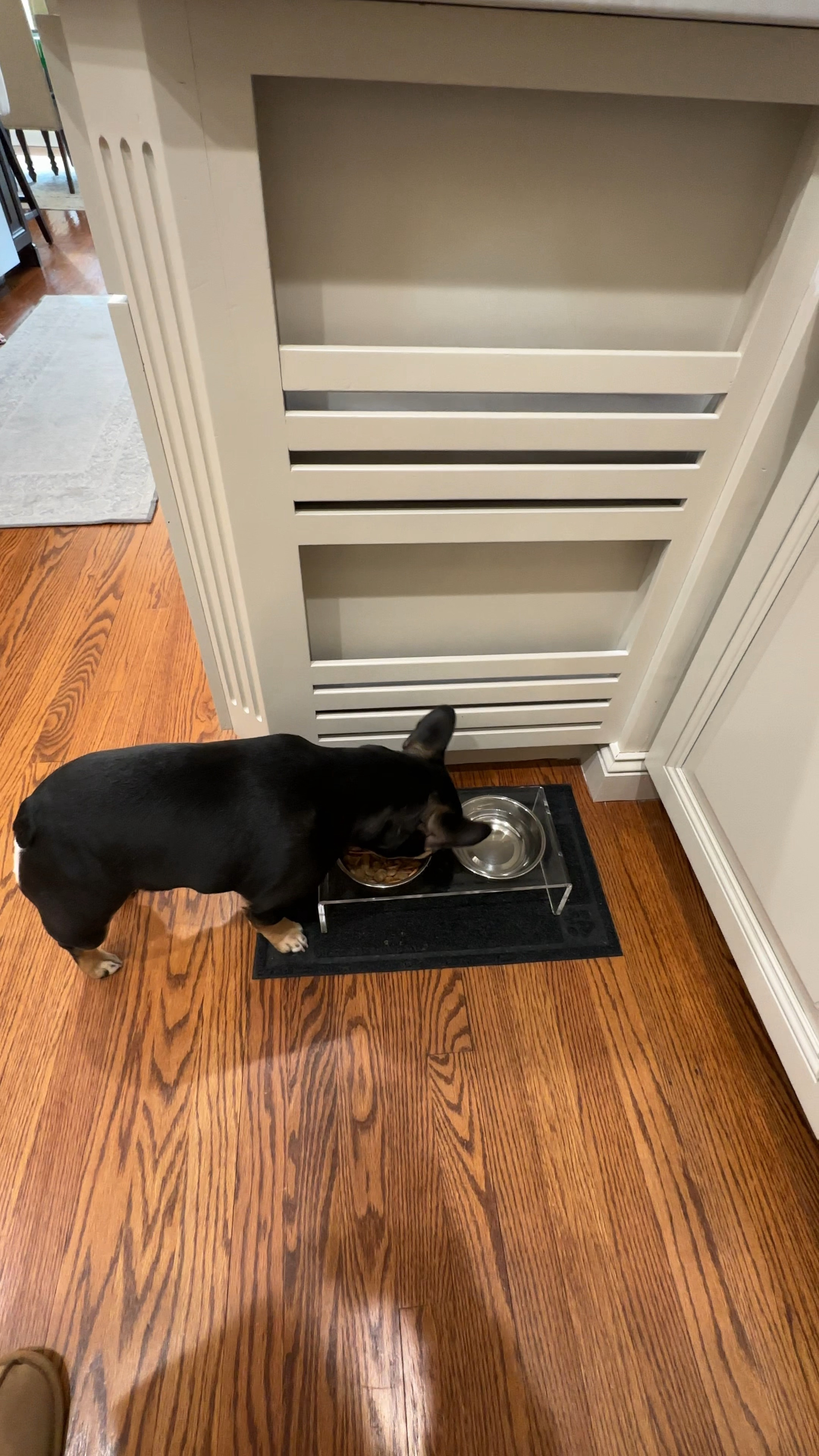 new dog bowls for Lola

#LTKVideo #LTKhome #LTKfindsunder50