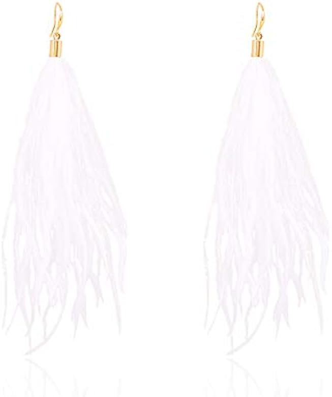 Feather Earring For Women Long Dangle Earring Feather Elegant Thread Feather Jewelry for Gift Winter | Amazon (US)
