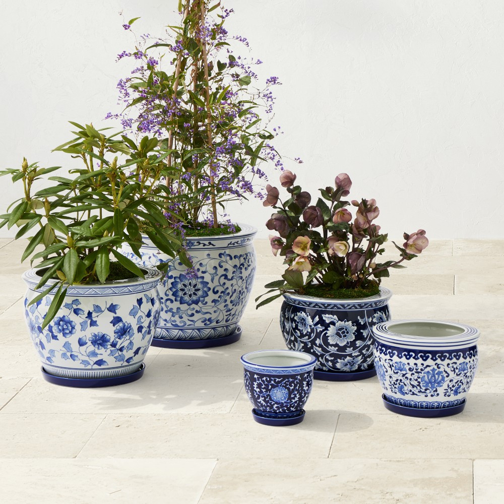 Blue & White Ceramic Planter with Tray Collection | Williams-Sonoma
