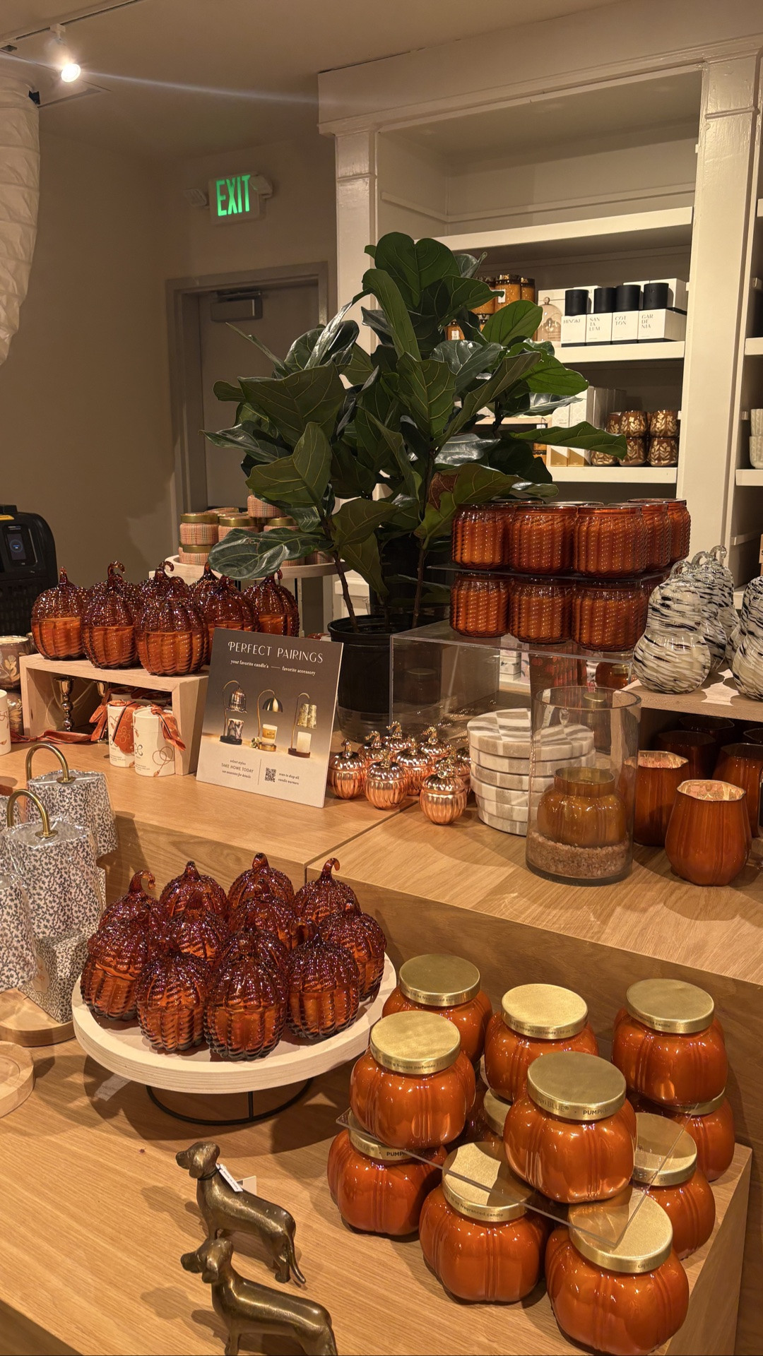 It’s giving Fall vibes at Anthropologie! 🍁🍂

#LTKdayinmylife #LTKHome #LTKSeasonal