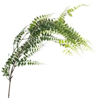 Green Fern Leaf Stem Spray by Ashland® | Floral Stems | Michaels | Michaels Stores