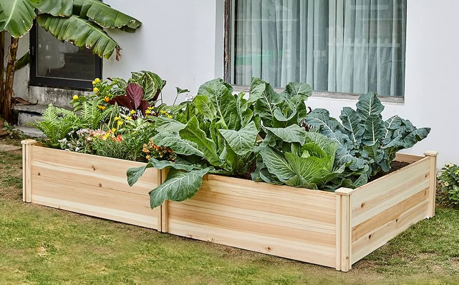 AMERLIFE 15 Inch Deep Wooden Raised Garden Planter 8x4FT Extra Large Raised Garden Bed Planter Bo... | Amazon (US)