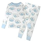 HonestBaby 2-Piece Pajamas Sleepwear PJs 100% Organic Cotton for Infant Baby and Toddler Boy, Blow Fish, 3T | Amazon (US)