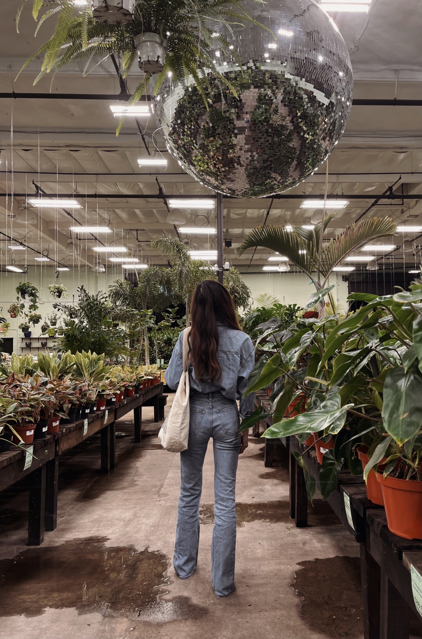 Denim on denim will forever be a part of my capsule wardrobe 🩵🩵

I linked the exact denim blouse and high waist jeans + some alternatives under $100 here!

#LTKSeasonal #LTKFindsUnder100 #LTKStyleTip