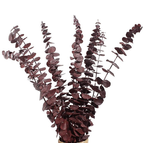 Dried Eucalyptus Bundle,12 Pcs Natural Preserved Eucalyptus Stems - Walmart.com | Walmart (US)