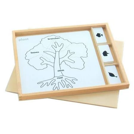 Montessori Botany Puzzle Activity Set | Walmart (US)