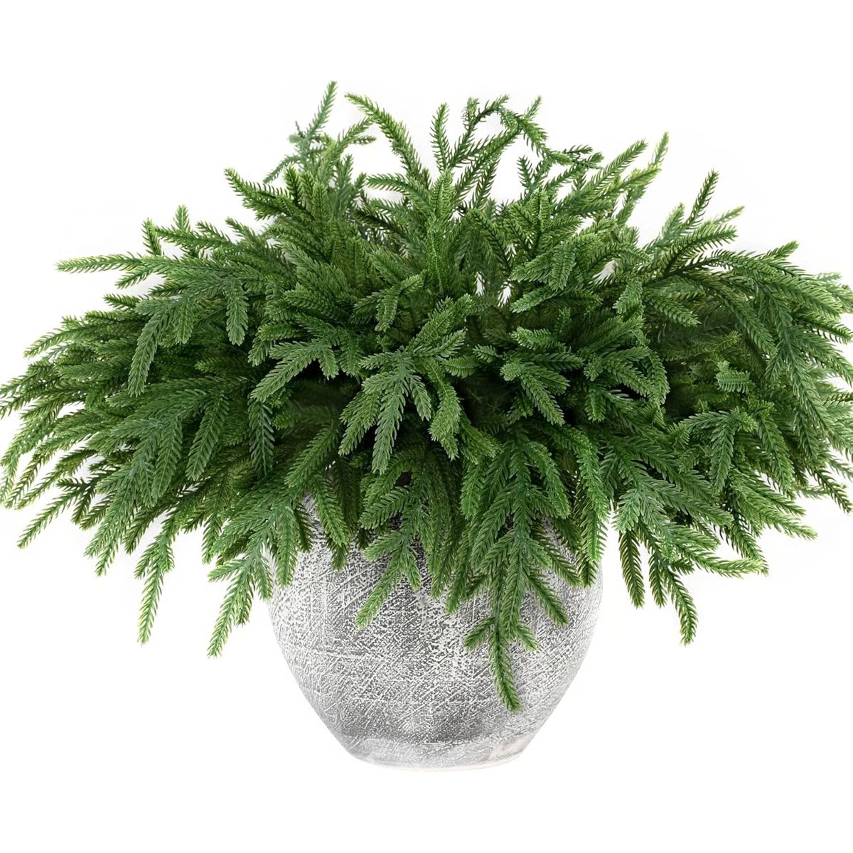 12pcs Artificial Norfolk Pine Branches | Wayfair North America