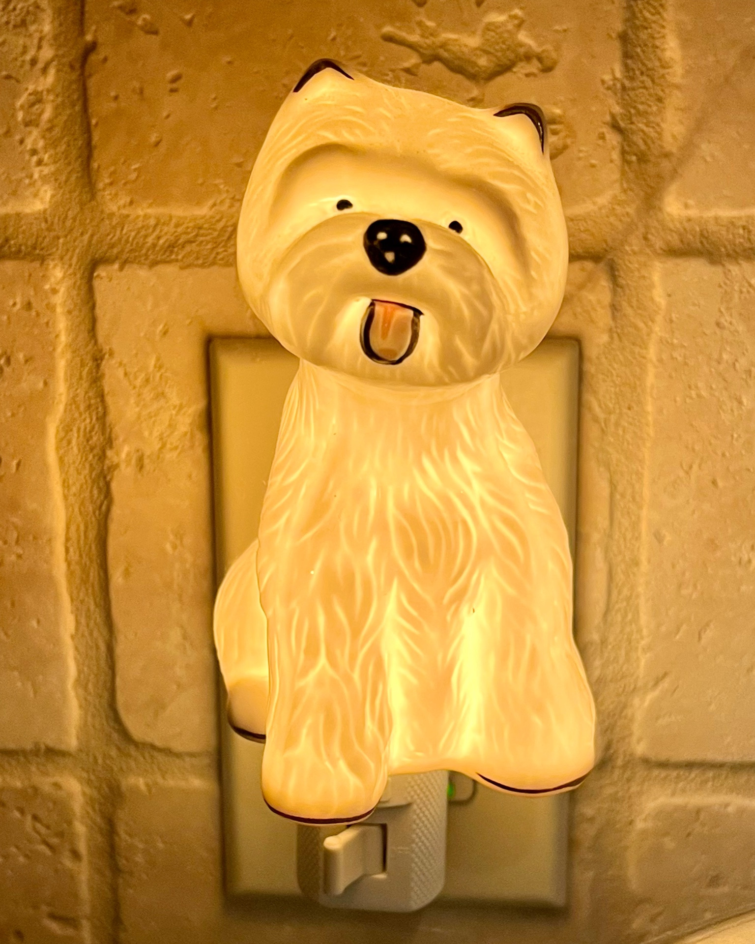 Westie mom and dads, you need one of these.
The sweetest Westie nightlight! 💡 Would make a fun stocking stuffer, too!

#LTKhome #LTKGiftGuide #LTKHoliday