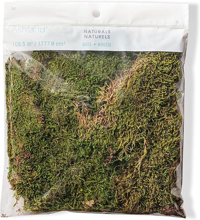 Michaels Forest Green Preserved Moss by Ashland® | Amazon (US)