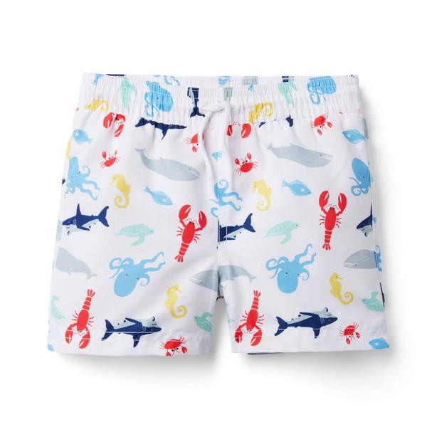 Sea Life Swim Trunk | Janie and Jack