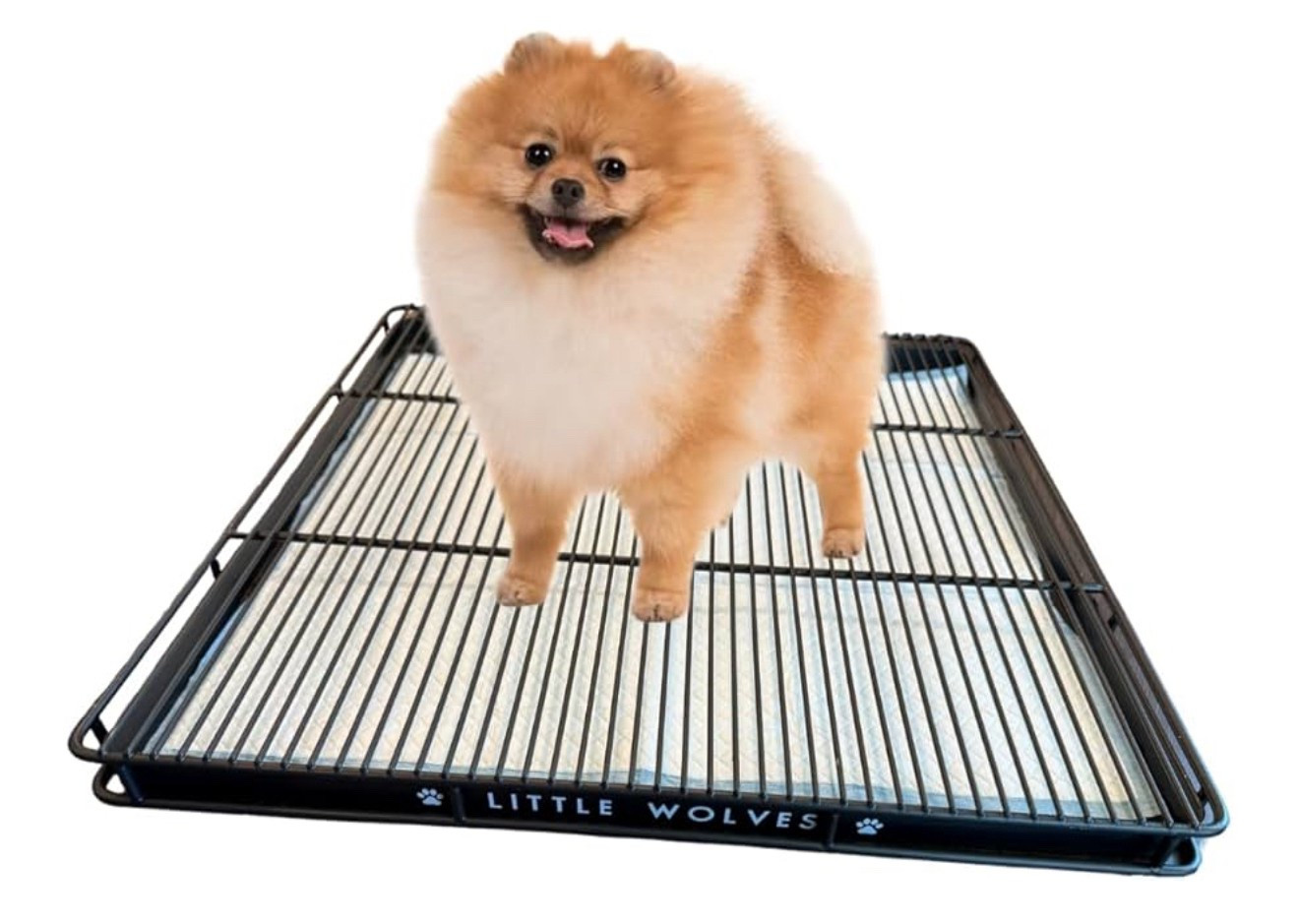 Potty training tray!